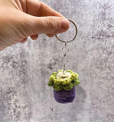 Mini Crochet Succulent Amigurumi Pattern by Love Life Yarn