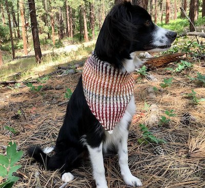 Mountain Dog Bandana Crochet Pattern by Susan Kennedy