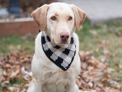 Plaid Crochet Dog Bandana Pattern by Whistle And Ivy