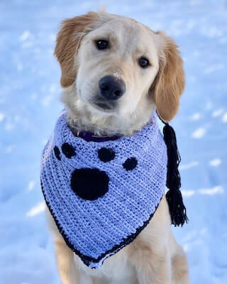 Pretty Paws Pet Bandana Crochet Pattern by Crafty Kitty Crochet