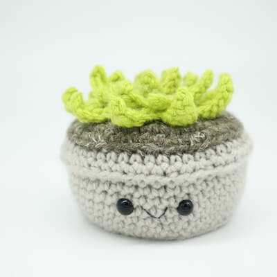 Succulent Amigurumi Free Crochet Pattern by Stringy Ding Ding