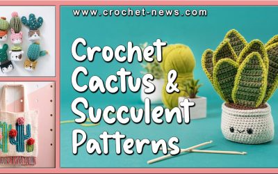 42 Crochet Cactus and Crochet Succulent Patterns