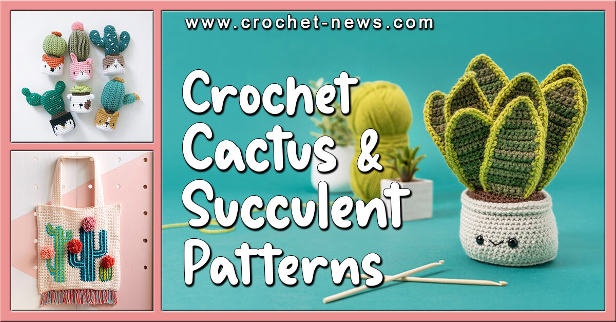 42 Crochet Cactus and Crochet Succulent Patterns - Crochet News