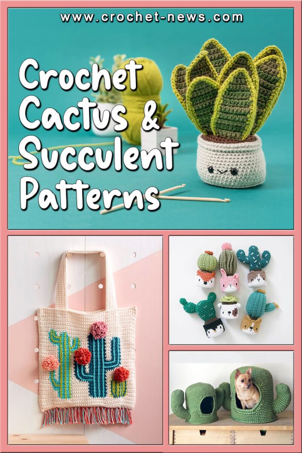 Crochet Cactus and Crochet Succulent Patterns