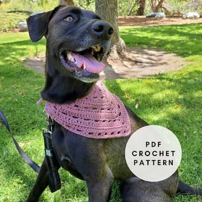 Crochet Dog Bandana Pattern by The Loophole Fox