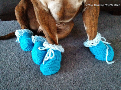 Crochet Dog Booties Pattern by The Knitting Scientist