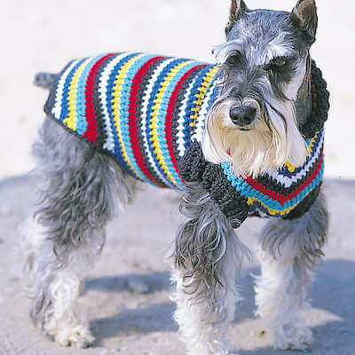 Crochet Dog Coat Pattern by Yarnspirations