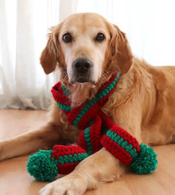 Crochet Dog Scarf Pattern by Pawsome Crochet