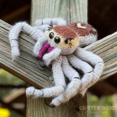 Scoot, The Jumping Spider Amigurumi Pattern by Critter-iffic Crochet