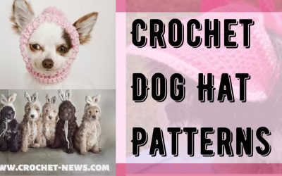 30 Crochet Dog Hat Patterns