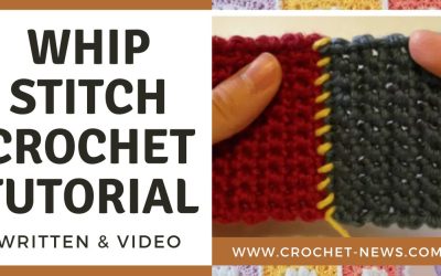 Whip Stitch Crochet Tutorial – Written & Video