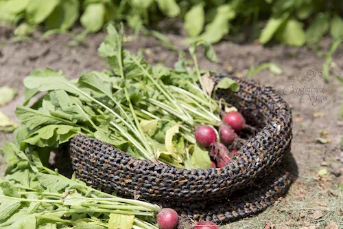 Convertible Vegetable Free Crochet Bowl Pattern by Cyrstalized Designs