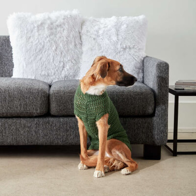 Crochet Dapper Pup Sweater Pattern by Yarnspirations
