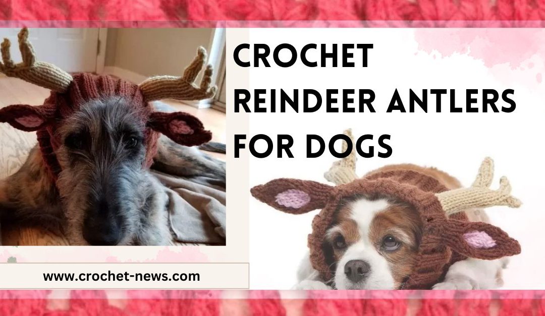 Crochet Reindeer Antlers for Dogs