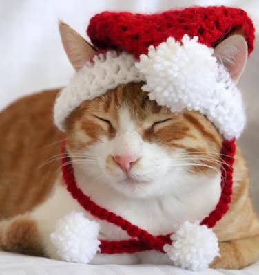Crochet Cat Santa hat Pattern by Pawsome Crochet