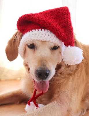 Crochet Santa Hat Pattern For Large Dogs by Pawsome Crochet