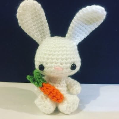 Free Crochet Easter Bunny Pattern by Sir Purl Grey