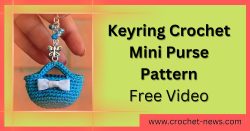 Keyring Crochet Mini Purse Pattern Free Video