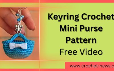 Keyring Crochet Mini Purse Pattern Free Video