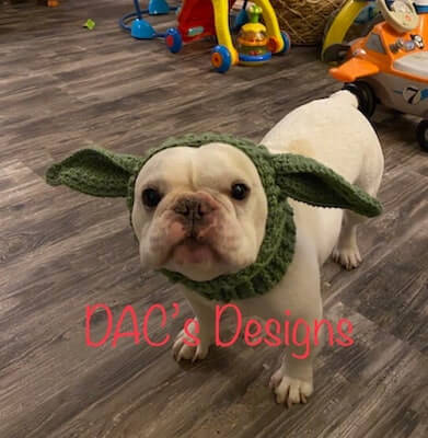 Baby Yoda Dog Hat Crochet Pattern by DAC's Designs