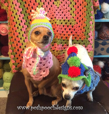 Birthday Dog Hats Crochet Pattern by Sara Sach