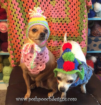 Football Dog Helmet Hat pattern by Sara Sach