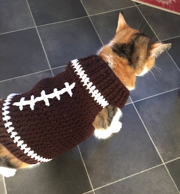 Cat Football Sweater Crochet Pattern