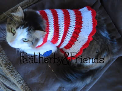 Crochet Candy Cane Cat Sweater Pattern by Featherby & Friends