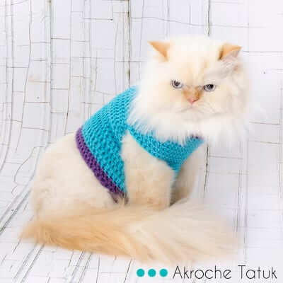 Crochet Cat Sweater Pattern by Akroche Tatuk