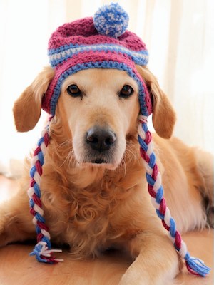 Crochet Dog Hat Pattern by Pawsome Crochet