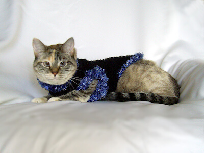 Crochet Fur Trimmed Pet Sweater Pattern by Crochet Kitten