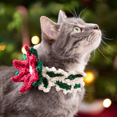 Crochet Holiday Cat Collar Pattern by Red Heart