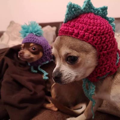 Crochet Novelty Hat For Small Dogs by Kirsty's Creations GB