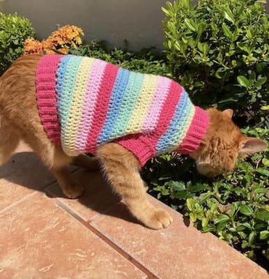 Crochet Rainbow Cat Sweater Pattern by Armi Crafts