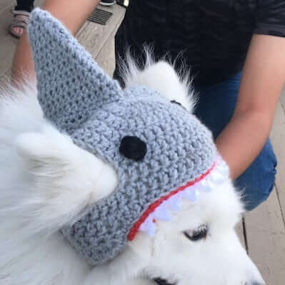 Crochet Shark Hat For Large Dogs by Steady Hands Crochet
