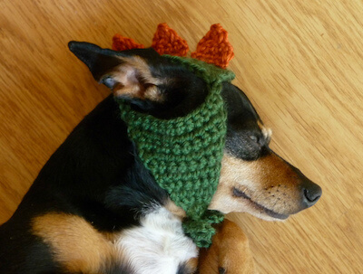 Dinosaur Dog Hat Crochet Pattern by Jennifer Roy