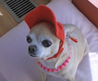 Little Red Doggie Ball Cap Crochet Pattern by Ozark Nomad