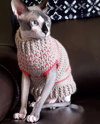 Lovey Cat Sweater Crochet Pattern by Anna Mae Lee