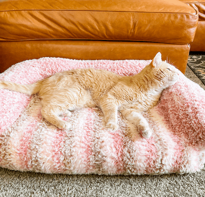 Peanut's Cat Couch Crochet Pattern by Toni Lipsey