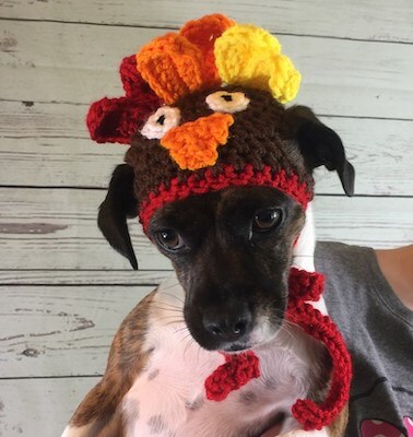 Small Dog Turkey Hat Crochet Pattern by Okie Girl Bling N Things