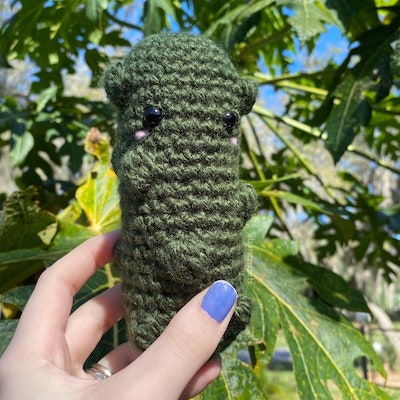 Emotional Support pickle No Sew: Crochet pattern