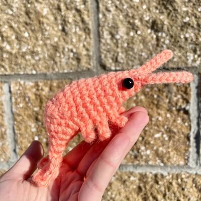 Shrimp Crochet Pattern by Ghee Beans Crafty