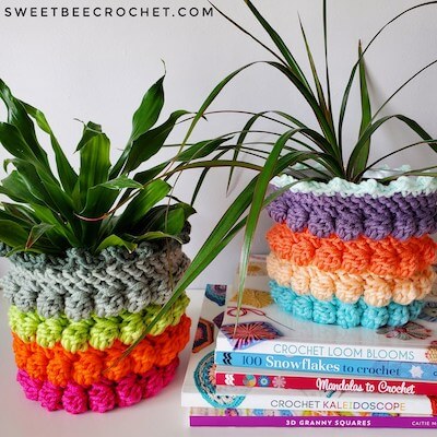 Bobble Pop Plant Cozy Crochet Pattern by Sweet Bee Crochet