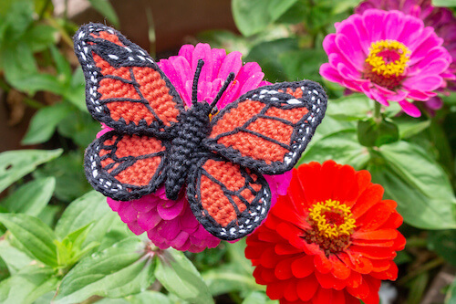 Crochet Monarch Butterfly Applique Pattern by Stella's Yarn Universe