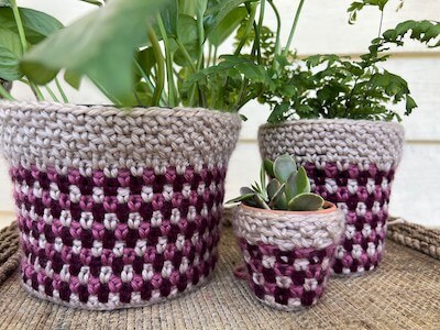 Striped Moss Plant Pot Cover Crochet Pattern by Juniper And Oakes