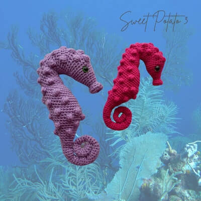 Pygmy Crochet Seahorse Free Pattern by Sweet Potato 3