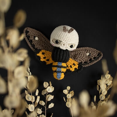 Crochet Skull Moth Pattern by Lalylala