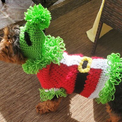 Grinch Inspired Dog Sweater Crochet Pattern by Creeks End Inc