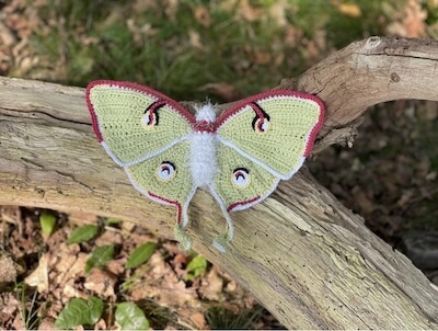 Luna Moth Butterfly Crochet Pattern by Mieks Creaties
