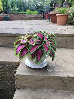 Crochet Coleus Pattern by Pippa Patterns Crochet